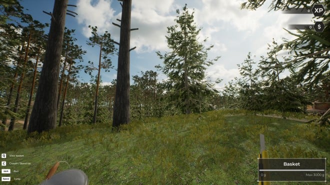 Mushroom Hunter World Torrent Download Mushroom Hunter World Torrent Download