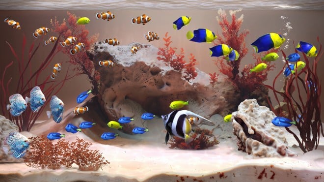 Zen Aquarium PC Crack