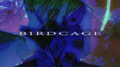 Featured BIRDCAGE Free Download 1