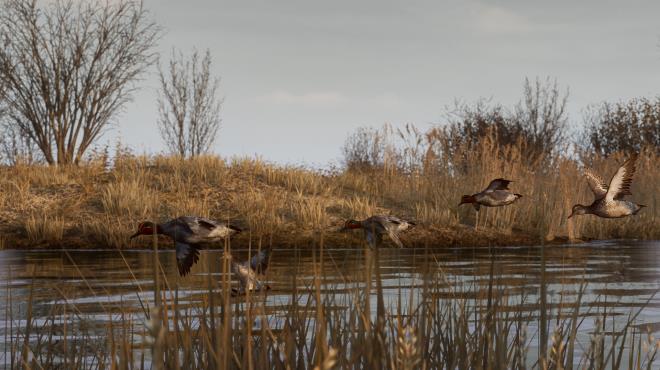 BULT: Hunting simulator PC Crack