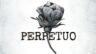 Featured Perpetuo Free Download