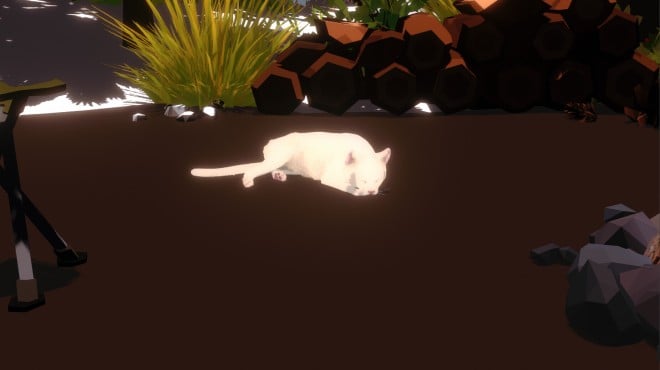 Campfire with Cat Torrent Download