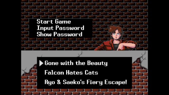 City Hunter Torrent Download