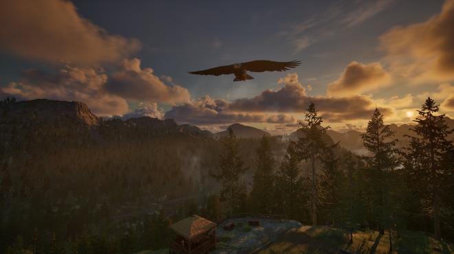 Ranger’s Path: National Park Simulator Torrent Download