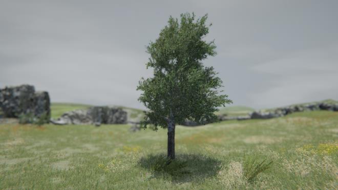 Tree Simulator 2021 PC Crack Tree Simulator 2021 PC Crack