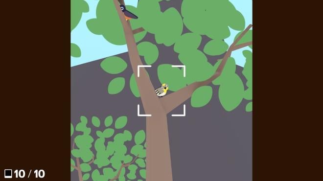 Flock Around PC Crack