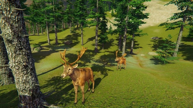 Nucleares Island Fauna PC Crack