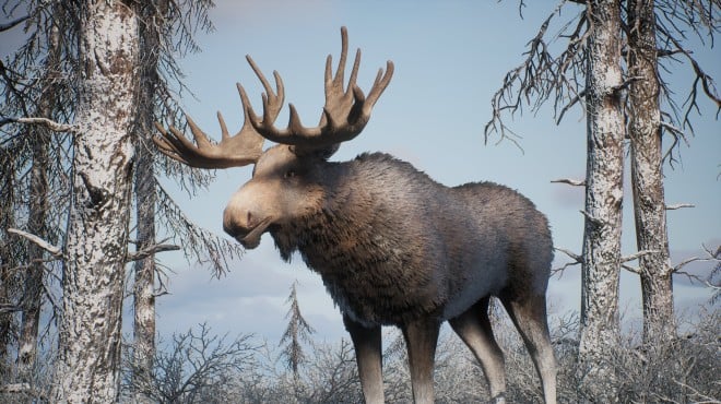 PROJECT HUNT MANCHURIAN TAIGA PC Crack