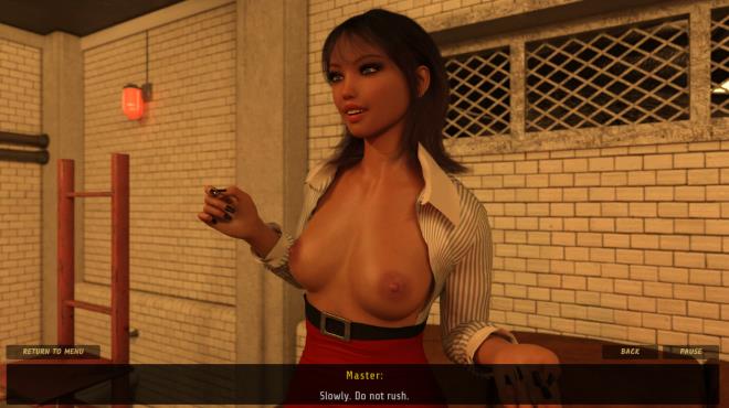 BDSM Sex PC Crack