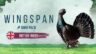 Featured Wingspan Bird Pack British Birds Free Download