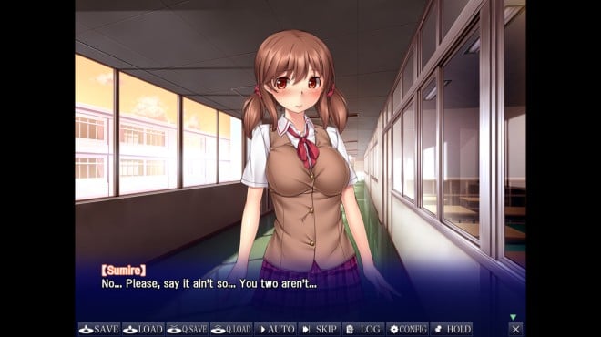 Sumire's Secret PC Crack