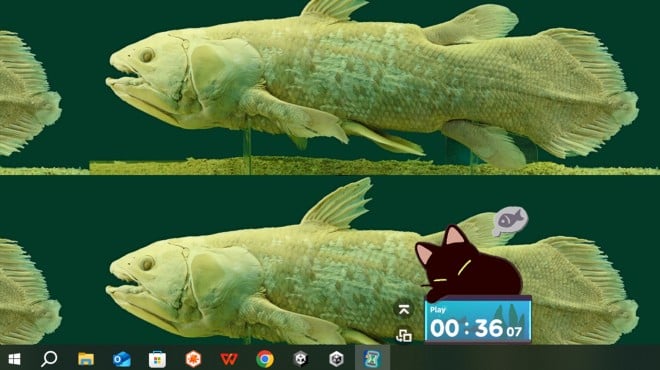 With Me: Aquatic Time Torrent Download