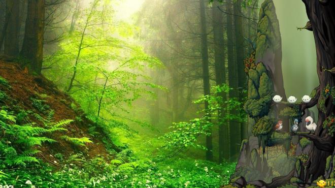 Fantasy Bird Woods Torrent Download