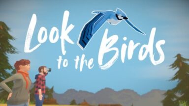 Featured Look to the Birds Free Download
